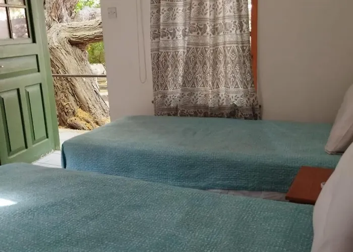 ベッド・アンド・ブレックファスト Antony's Garden House Episkopi (Limassol)